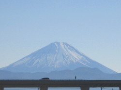 fuji