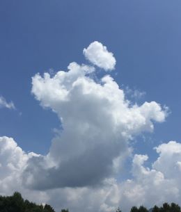 20sumcloud