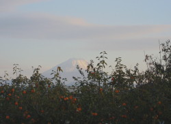 mtfuji