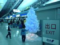 dscf0179.jpg