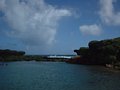 dscf0206.jpg