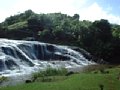 dscf0213.jpg