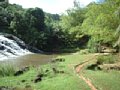 dscf0216.jpg