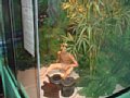 dscf0245.jpg