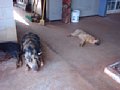 dscf0249.jpg