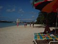 dscf0271.jpg