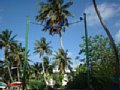 dscf0276.jpg