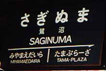 saginuma.jpg