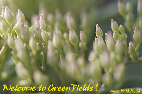 Welcome to GreenFields!