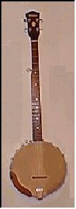 5Strings Open back banjo