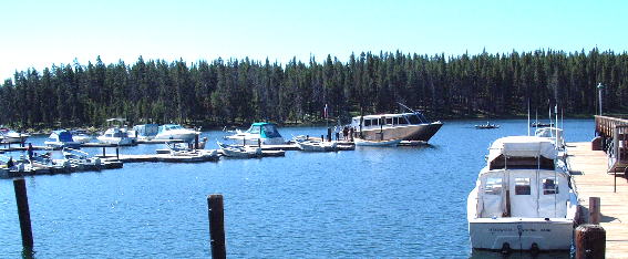 Marina at Bridge Bay