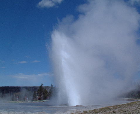 Daisy Geyser