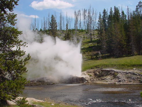 Riverside Geyser