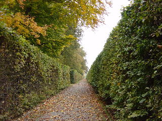 Road along the wall