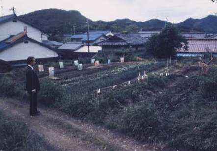 地下室の真上にあったという尼寺跡