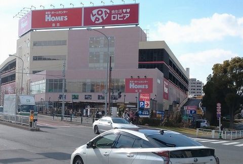 ロピア画像