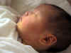 baby07.jpg (37585 oCg)