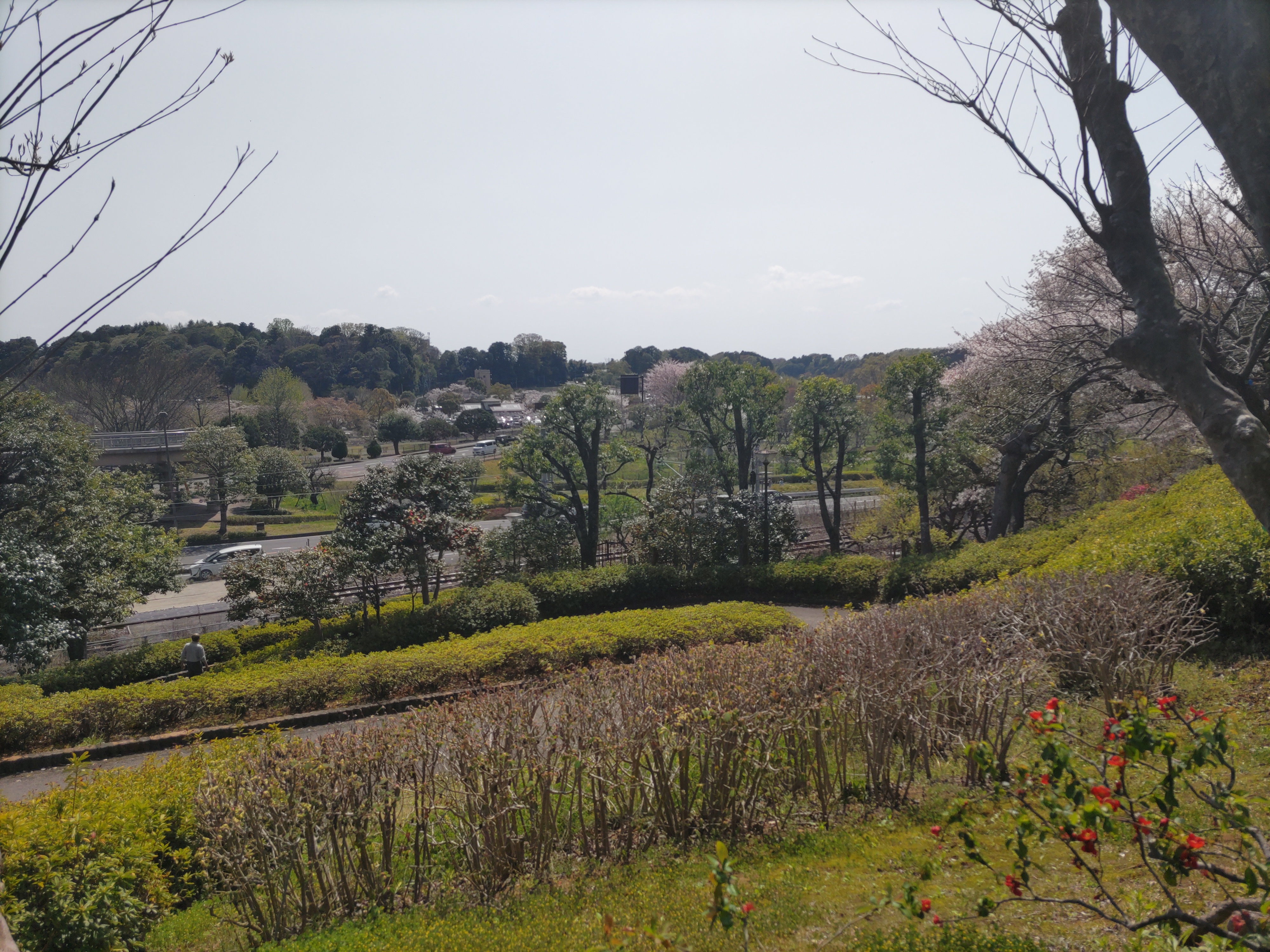 偕楽園公園544