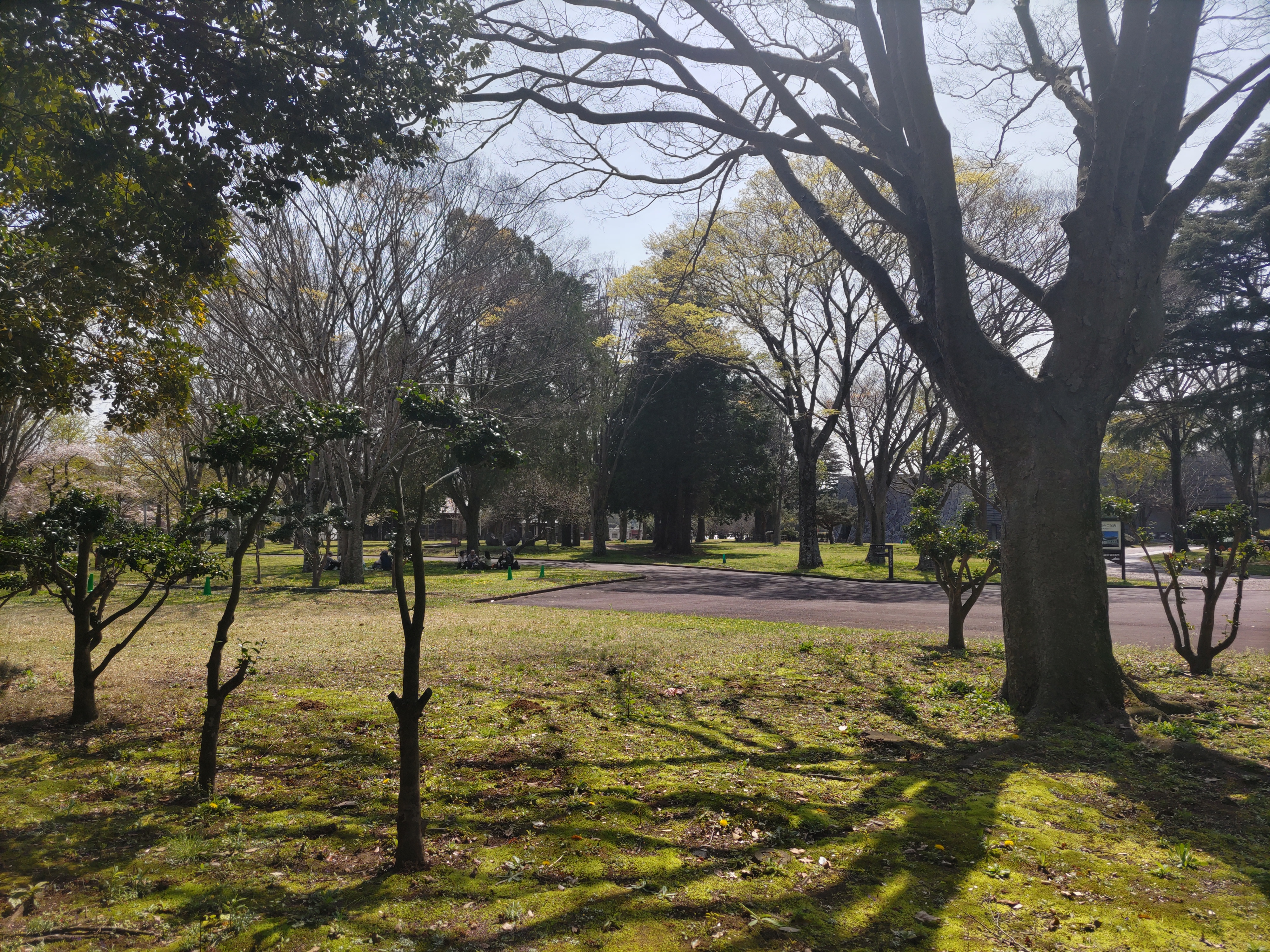 偕楽園公園545
