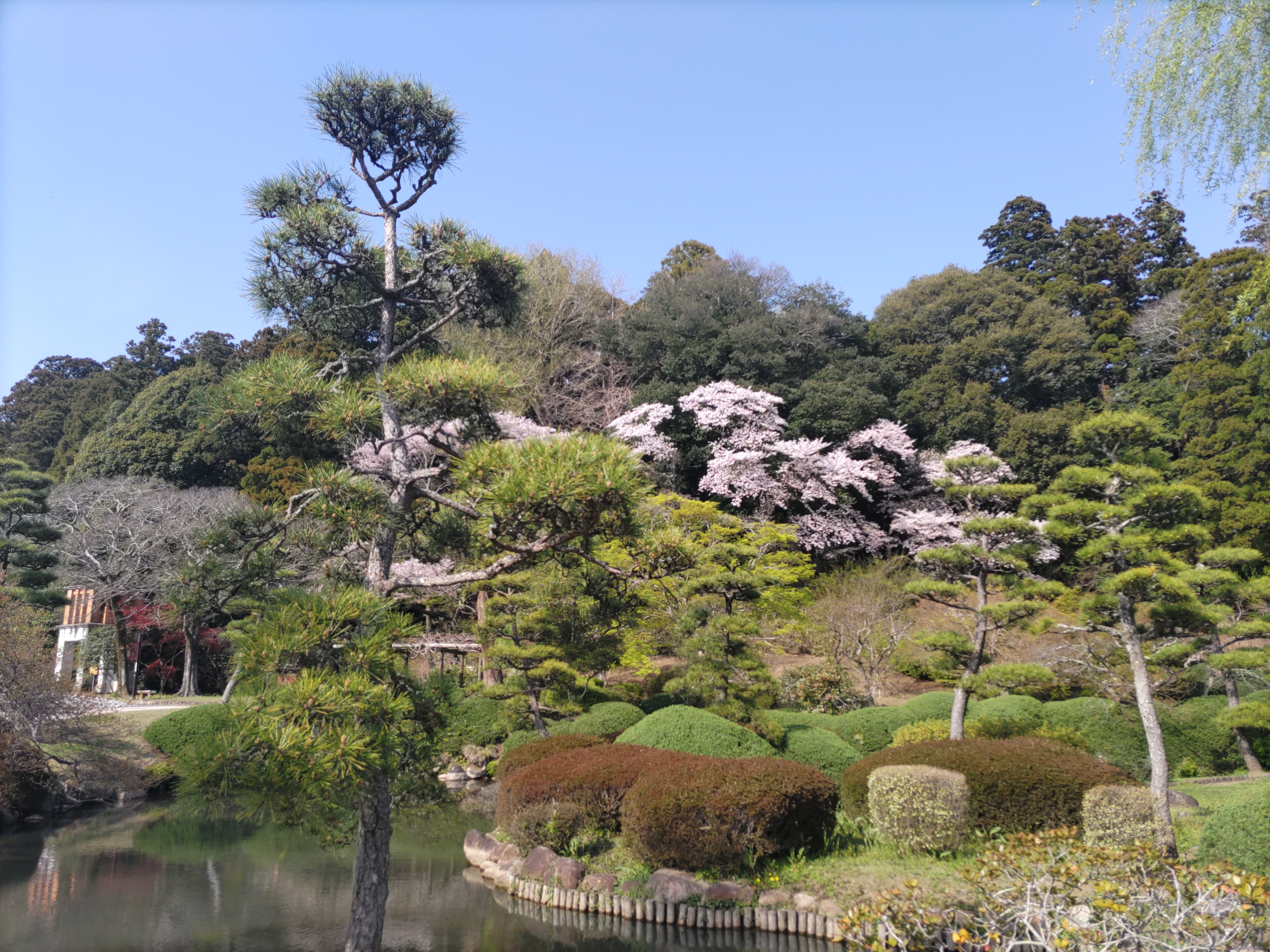 偕楽園公園547