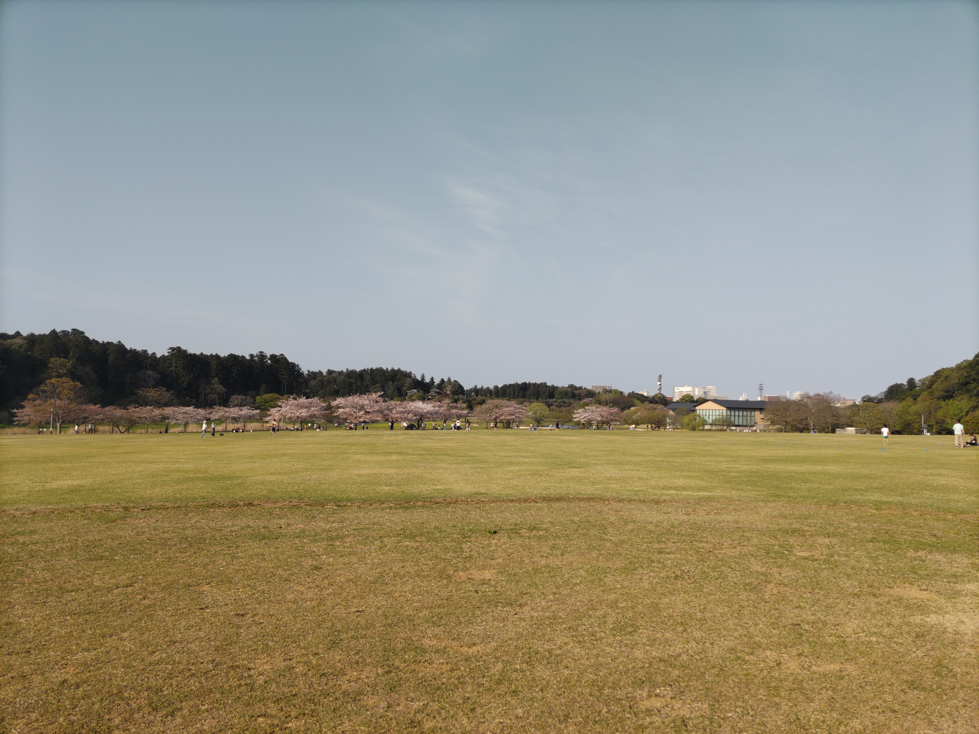 偕楽園公園550