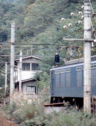 出発信号機が青に変りました。