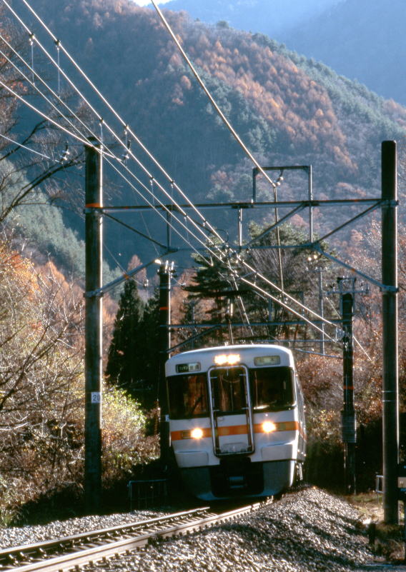 秋景色の中を走る313系電車
