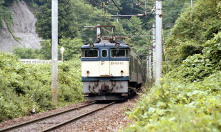 白坂第二トンネルを出てきたEF-64牽引のお座敷列車。