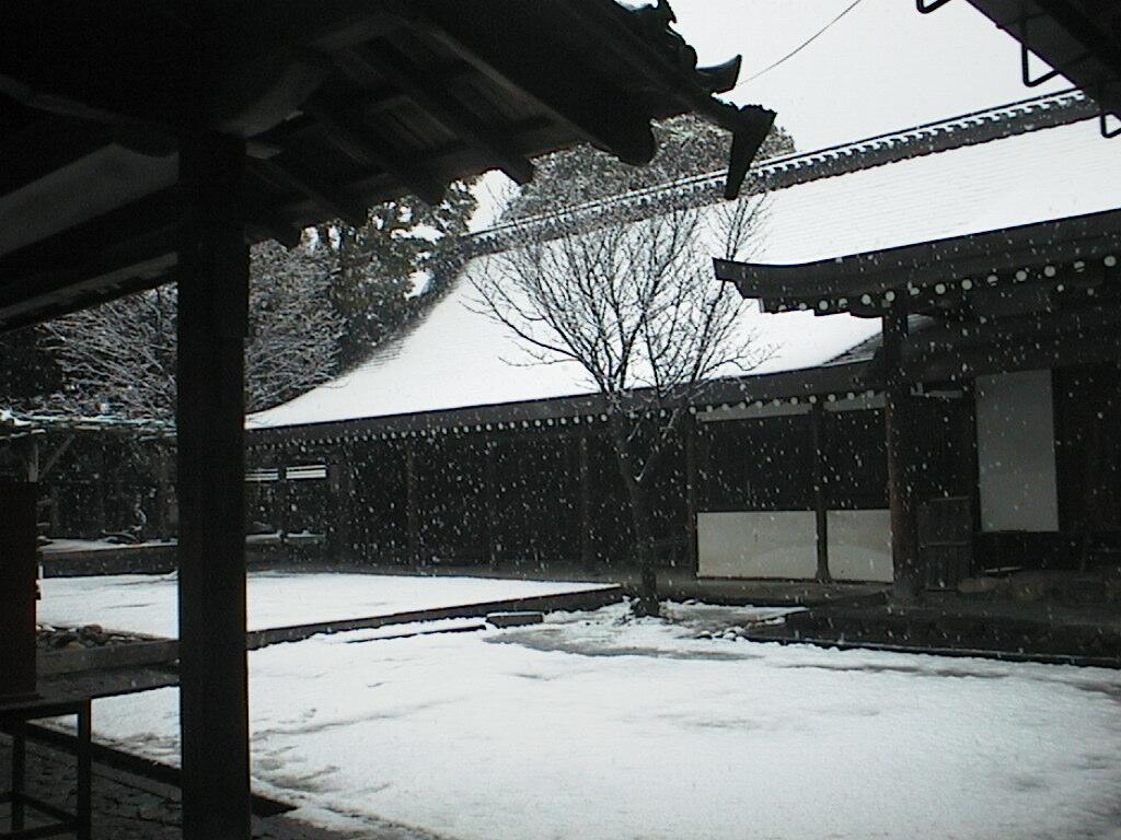 124KB 氷室神社の境内