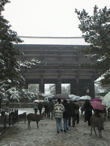 東大寺の前