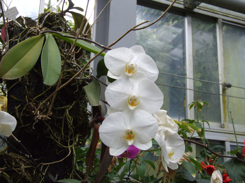 DSCF0133.jpg