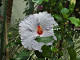 DSCF0177_thumb.jpg