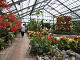 DSCF0185_thumb.jpg