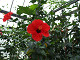 DSCF0193_thumb.jpg