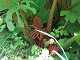 DSCF0215_thumb.jpg