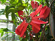 DSCF0227_thumb.jpg
