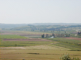 Ȫ01(field01)