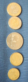 ��ʾ1(Coins 1)