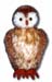 owl