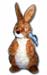 rabbit