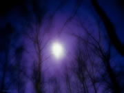 night
