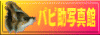 �p�s���ʐ^��