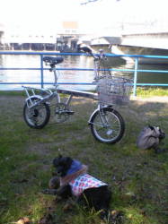 ルナと自転車でお散歩