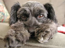 �����������i