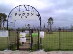 �΂��h�b�O����