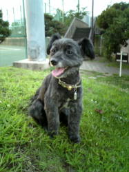 ���i�����Ŗ�������