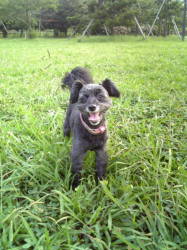 ���i�ƌ���