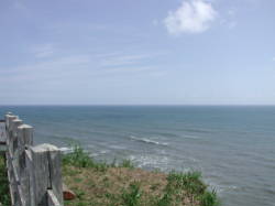 �����蓔��