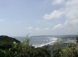 �����蓔��