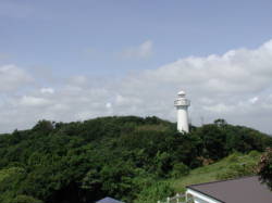 �����蓔��